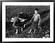 Little Boy Leading An Ox On A Rope by Carl Mydans Limited Edition Print