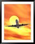 Airplane In Flight With Sun In Background by Paul Katz Limited Edition Print
