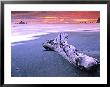 Rialto Beach Sunset With Driftwood Log by Russell Burden Limited Edition Pricing Art Print