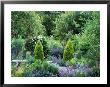 View Into Country Garden With Perennials And Small Trees Summer by Lynn Keddie Limited Edition Pricing Art Print