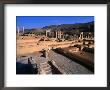 Ancient City Of Persepolis Persepolis (Takht-E Jamshid), Fars, Iran by Phil Weymouth Limited Edition Print