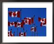 Canadian Flags Flying In The Wind, Vancouver, Canada by Rick Gerharter Limited Edition Pricing Art Print