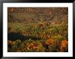 Farmlands And George Washington National Forest Seen From Skyline Drive by Raymond Gehman Limited Edition Print