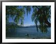 Lone Kayaker On A Lake With Snow-Capped Mountains In Background by Todd Gipstein Limited Edition Print