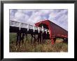 Woman On Roseman Bridge, Madison County, Iowa, Usa by Bill Bachmann Limited Edition Print