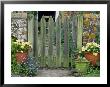 Farmhouse Gate With Terracotta Pots Of Viola And Primula Auricula by Sunniva Harte Limited Edition Pricing Art Print