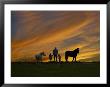 Ohio, Sugarcreek, Amish Family Viewing Sunset by Dennis Macdonald Limited Edition Print