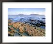 Island Of Hoy From Warebeth Beach, Scotland by Iain Sarjeant Limited Edition Print
