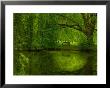 Green World by Irene Suchocki Limited Edition Print