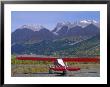 Supercub And The Wrangell Mountains In Mccarthy, Alaska by Rich Reid Limited Edition Print