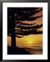Sunrise, Pine Beach, Gisborne, East Coast, North Island, New Zealand, Pacific by Dominic Webster Limited Edition Print