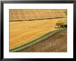 Fields And Rural Road Near Old Winchester Hill, Hampshire, England, Uk by Jean Brooks Limited Edition Print