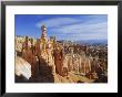 Thor's Hammer From The Navajo Loop Trail, Bryce Canyon National Park, Utah, Usa by Ruth Tomlinson Limited Edition Print