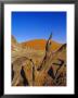Sand Dunes, Sesriem, Sossusvlei National Park, Namibia by Chris Kober Limited Edition Print