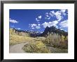 Dirt Mountain Road With Aspens And Cottonwoods In Fall Color, Near Silver Jack, Colorado, Usa by James Hager Limited Edition Print