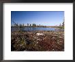 Landscape At Hudson Bay, Churchill, Manitoba, Canada, North America by Thorsten Milse Limited Edition Print