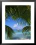 Palm Fronds And Beach, Rangiroa Atoll, Tuamotu Archipelago, French Polynesia, South Pacific Islands by Sylvain Grandadam Limited Edition Print