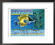 Tropical Fish I by Cynthia Rodgers Limited Edition Pricing Art Print