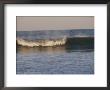 A Wave Curls As It Approaches The Shoreline by Todd Gipstein Limited Edition Print