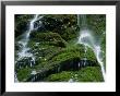 Waterfall Slapisce Suhe Trickling Down Mossy Rock Slope, Triglav National Park, Bled, Slovenia by Martin Moos Limited Edition Pricing Art Print