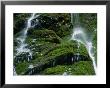 Waterfall Slapisce Suhe Trickling Down Mossy Rock Slope, Triglav National Park, Bled, Slovenia by Martin Moos Limited Edition Print