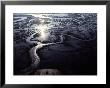 Aerial View Of The Salt Marshes Surrounding The Lower Savannah River by Annie Griffiths Belt Limited Edition Print