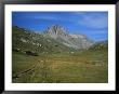High Mountain Pasture In The Swiss Alps Outside St. Moritz by Taylor S. Kennedy Limited Edition Print