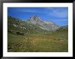 High Mountain Pasture In The Swiss Alps Outside St. Moritz by Taylor S. Kennedy Limited Edition Pricing Art Print