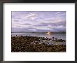 Coastguard Ship On Loch Ewe, Aultbea, Wester Ross, Highland Region, Scotland, United Kingdom by Neale Clarke Limited Edition Pricing Art Print