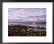 Coastguard Ship On Loch Ewe, Aultbea, Wester Ross, Highland Region, Scotland, United Kingdom by Neale Clarke Limited Edition Print