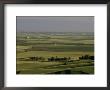 View From The Castle, Carmona, Seville, Andalucia, Spain by Michael Busselle Limited Edition Print