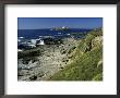 Godrevy Island Lighthouse, Near St. Ives, North Coast, Cornwall, England, United Kingdom by Duncan Maxwell Limited Edition Print