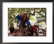 Horse Jumping Festival, Tado Town, Mie Prefecture, Kansai, Honshu Island, Japan by Christian Kober Limited Edition Print