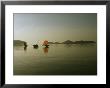 Cluster Of Kabangs Reflected In A Quiet Sea At Dusk by Nicolas Reynard Limited Edition Print