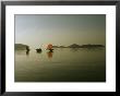 Cluster Of Kabangs Reflected In A Quiet Sea At Dusk by Nicolas Reynard Limited Edition Print