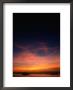 People And Boats Silhouetted At Sunset, White Beach, Philippines by Mark Daffey Limited Edition Pricing Art Print