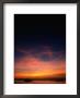 People And Boats Silhouetted At Sunset, White Beach, Philippines by Mark Daffey Limited Edition Print