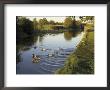 Ducks Swimming In The Worcester And Birmingham Canal, Astwood Locks, Hanbury, Midlands by David Hughes Limited Edition Print
