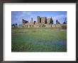 Castle Exterior From The Water Meadow, Kenilworth Castle, Managed By English Heritage, England by David Hunter Limited Edition Print