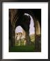 Ruins Of Llanthony Priory, Vale Of Ewyas, Black Mountains, Gwent, Wales, United Kingdom by Adam Woolfitt Limited Edition Print