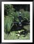 Statue In Fountain In Garden by Jennifer Broadus Limited Edition Print