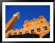 Torre Del Magia And Palazzo Publicco On Palio Day, Siena, Tuscany, Italy by David Tomlinson Limited Edition Print