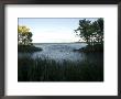 Scenic View Along The Shores Of Leech Lake In Minnesota by Joel Sartore Limited Edition Print