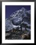 View Of Mount Nuptse From Everest Base Camp, Nepal by Michael Brown Limited Edition Print