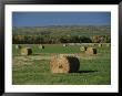 A View Of Manitoba Escarpment by Raymond Gehman Limited Edition Print