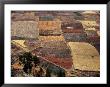 Fields In Urubamba Valley, Urubamba, Cuzco, Peru by Shannon Nace Limited Edition Print