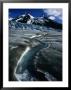 Walker Galcier In The World Heritage Site Declared Glacier Bay National Park And Preserve, Usa by Mark Newman Limited Edition Print