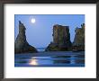 Moon Setting On Bandon Beach, Oregon, Usa by Joe Restuccia Iii Limited Edition Pricing Art Print