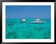 North Sound, Coral Gardens, Grand Cayman by Timothy O'keefe Limited Edition Print