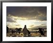Black-Footed Penguins On The Beach, South Africa by Stuart Westmoreland Limited Edition Print